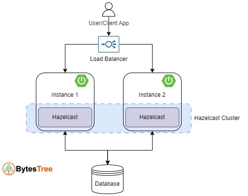 Hazelcast Distributed Cache Cluster